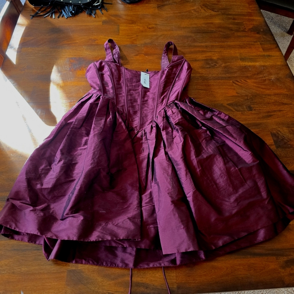 Nasty Gal corset laced back mini dress 14